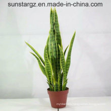 PE Mother in Laws Tongue Potted Artificial Plant for Decoration (50986)